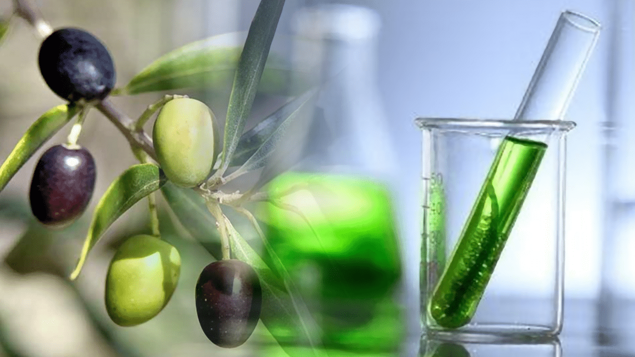 The Ultimate Guide To Olive Leaf Extract Benefits